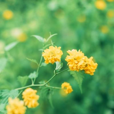 士兵荣耀现代战争内购破解版下载